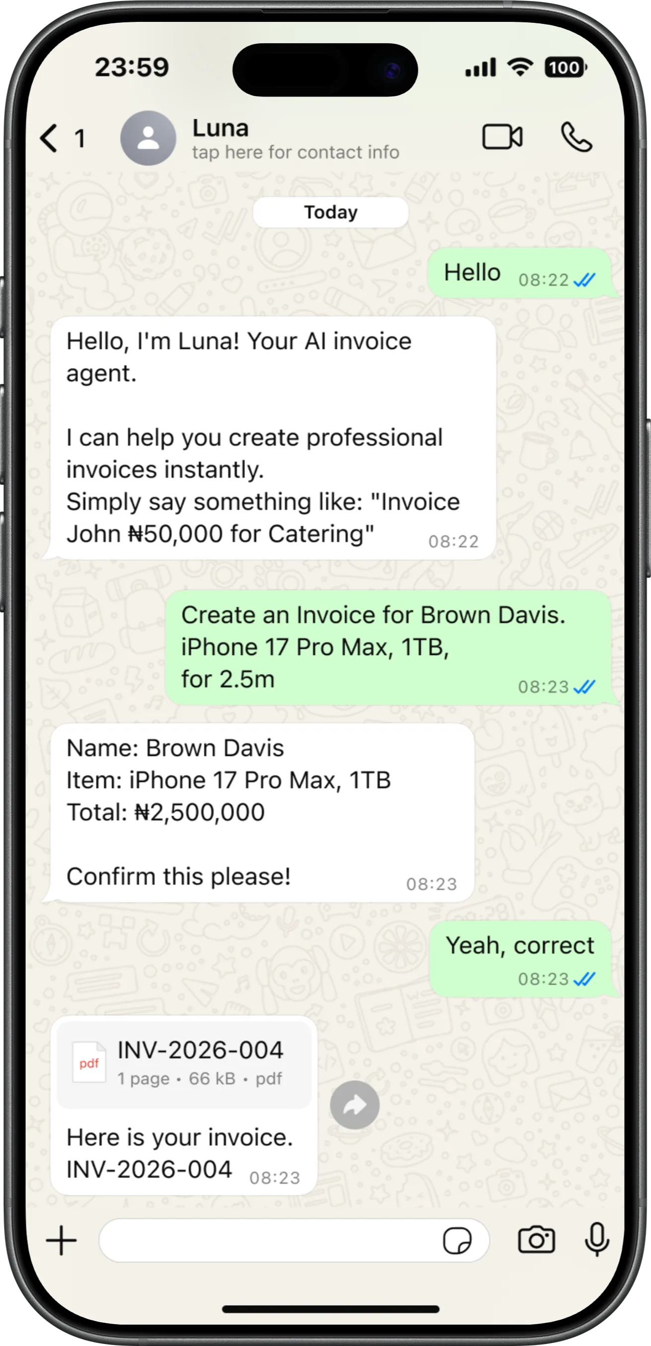 Luna WhatsApp invoicing demo
